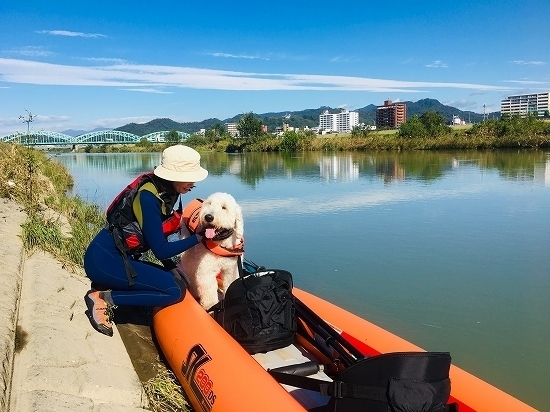 犬とカヌー ヒル対策はこれで安心 渡良瀬川 栃木県 大型犬ゴールデンドゥードルと楽しむカヌー 雪山登山日記